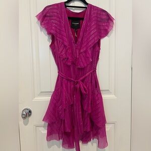 Le Superbe Fuchsia Mini Dress